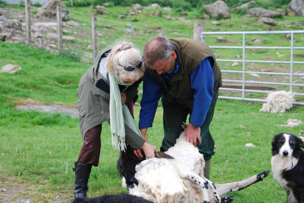 After carefully shearing around the 'tender bits', Neil invited some of us to try our hands at shearing. No power clippers here.